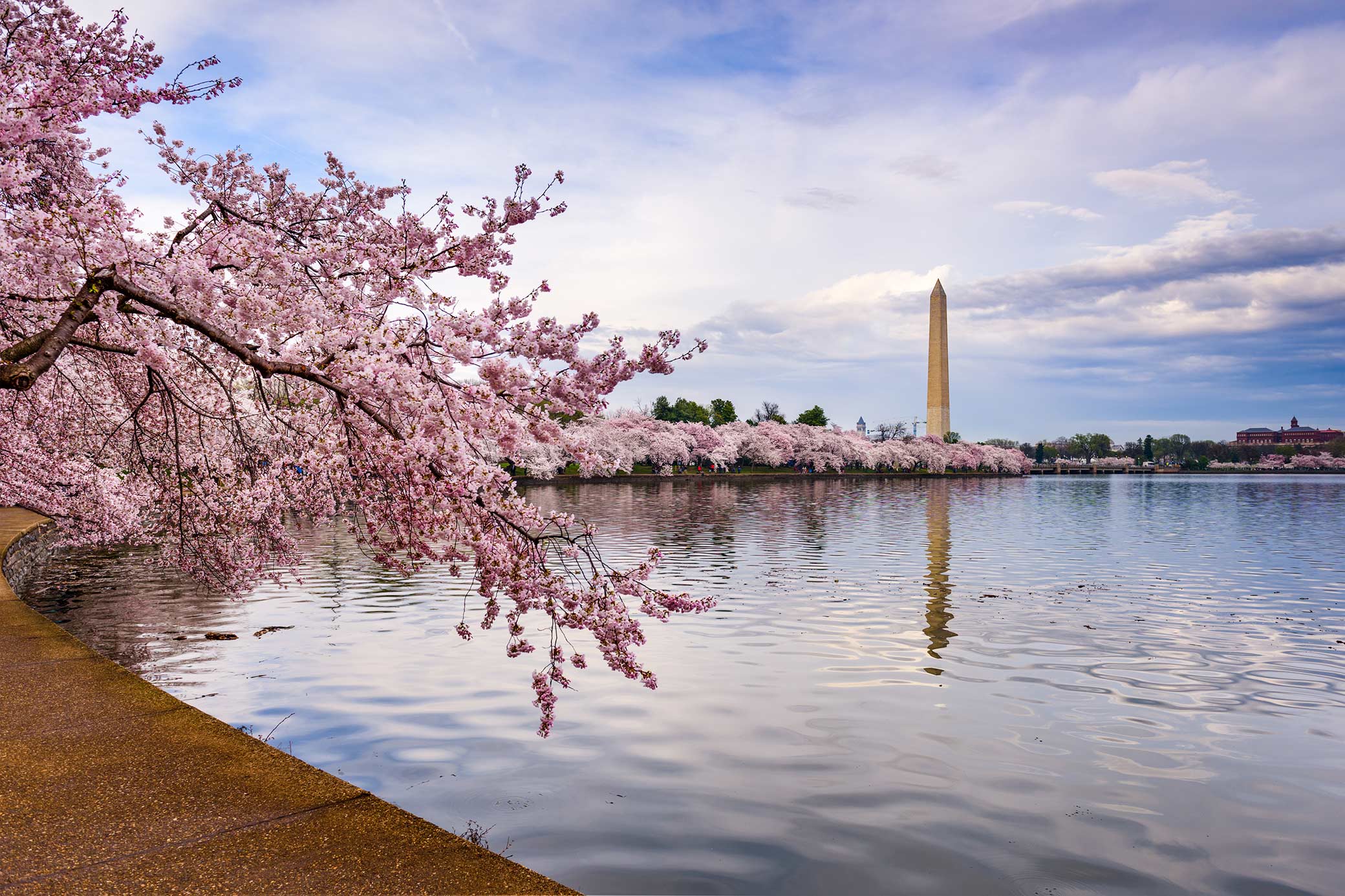 The Best Hotels in Washington DC for Sightseeing