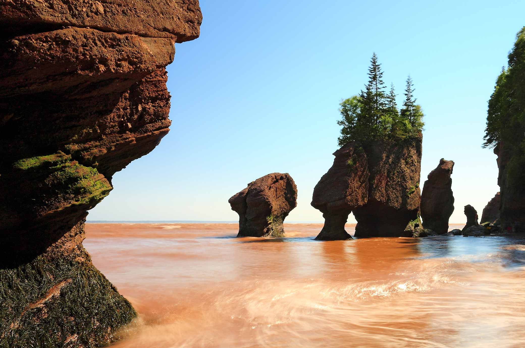 Visit <b>Fundy</b> National Park in Canada.