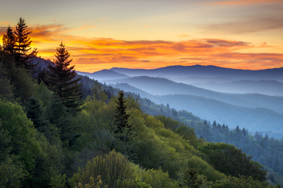 See Great Smoky Mountains National Park - Choice Hotels