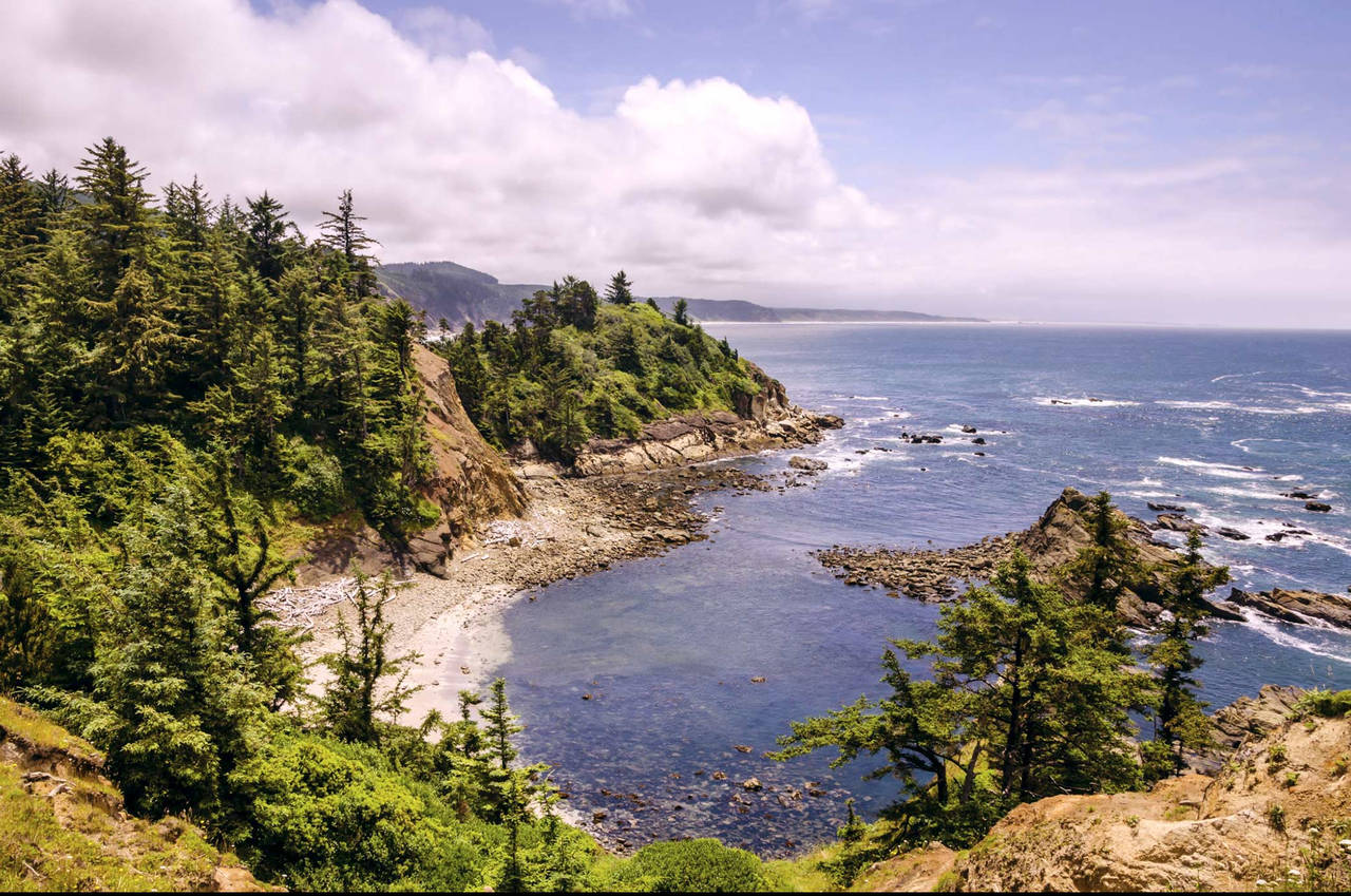 picture of pacific northwest beach