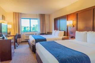 Hotel in Colorado Springs, CO | Comfort Inn® Official Site 