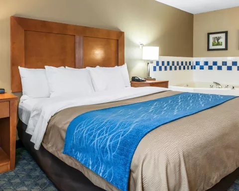 Comfort Inn Suites Hotel In Napoleon Oh Near Ludwigs Canal - 