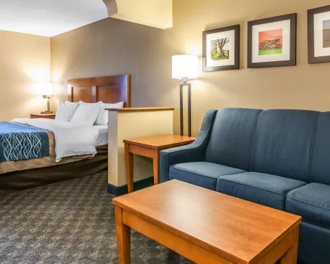 Comfort Inn Suites Hotel In Napoleon Oh Near Ludwigs Canal - 